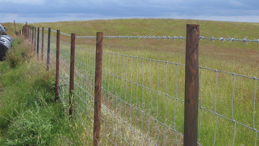 Top 5 Factors to Consider When Choosing Stake Pullers