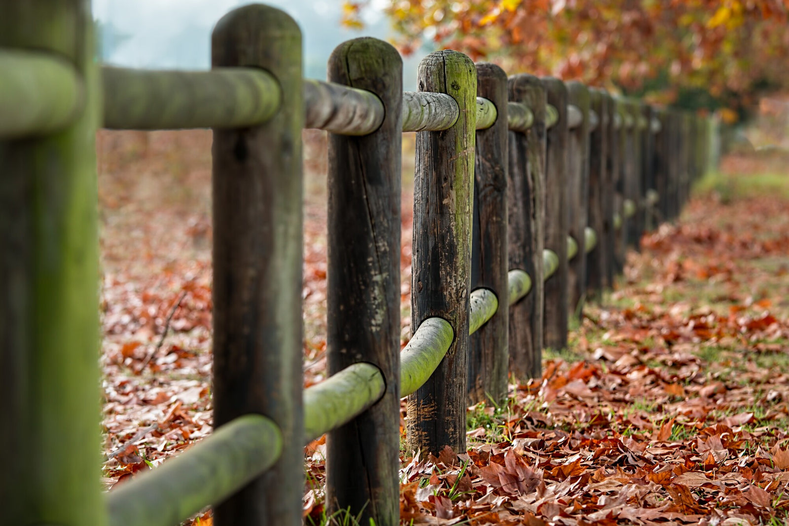 How To Remove Fence Posts Quickly With a Stake Puller